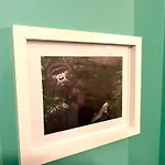 דירה La Bonbonniere Verte קאין