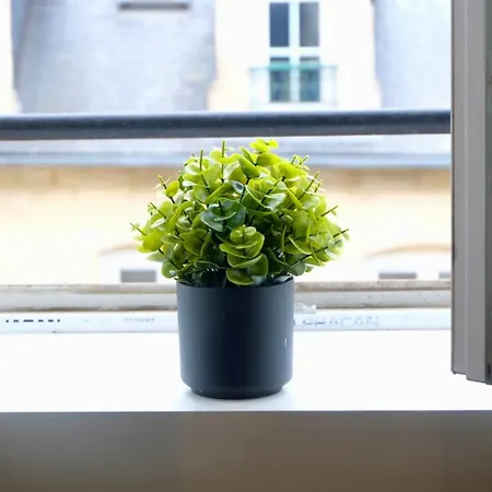 Apartamento La Bonbonniere Verte *