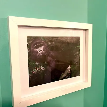 Appartement La Bonbonnière Verte Caen