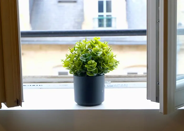 Apartament La Bonbonniere Verte *